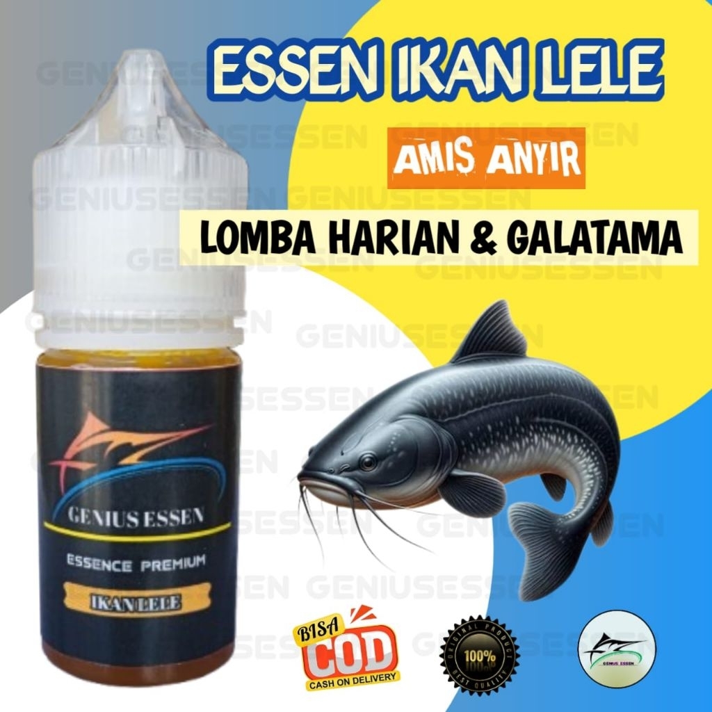 Genius Essen Lele Galatama Lele Lomba Harian Essen Gacor Essen Juara