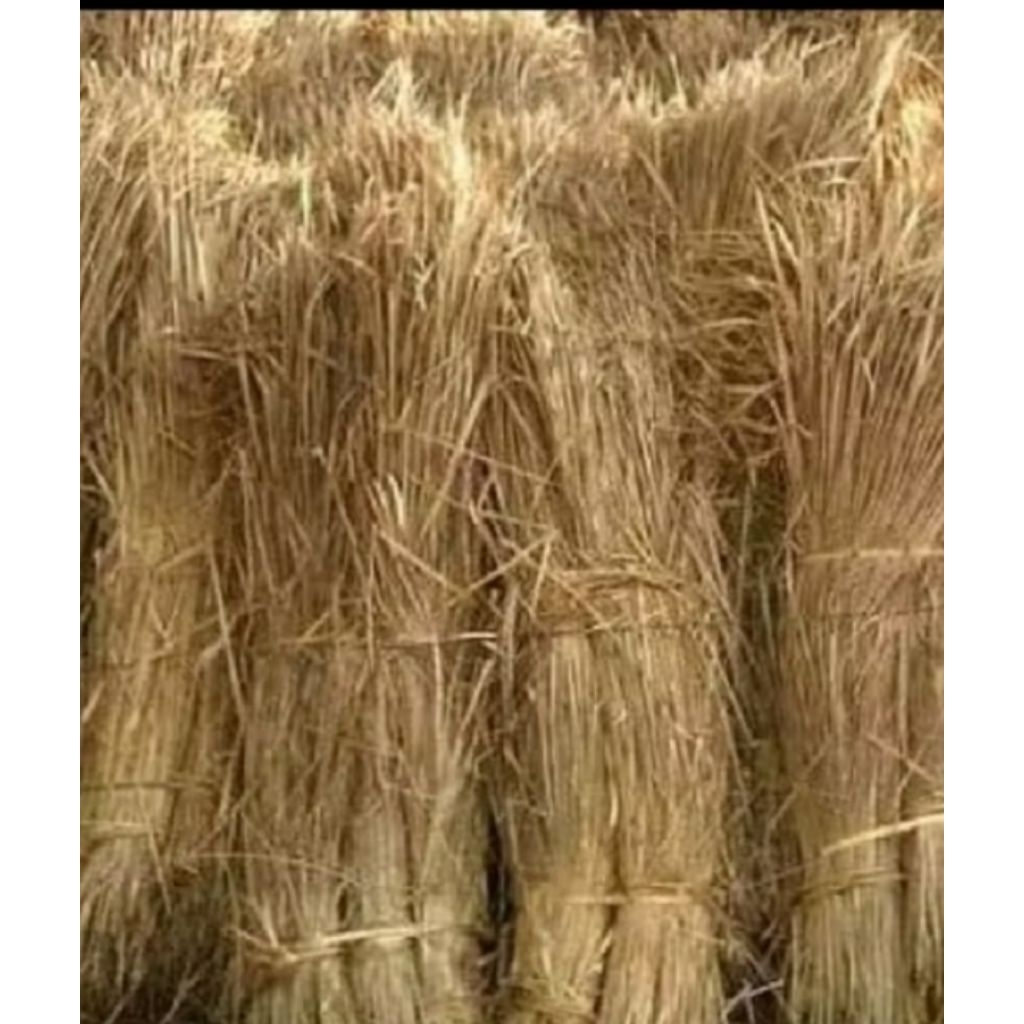 Jerami Kering . Macrame Jerami Kering 1kg . Bahan Dekorasi