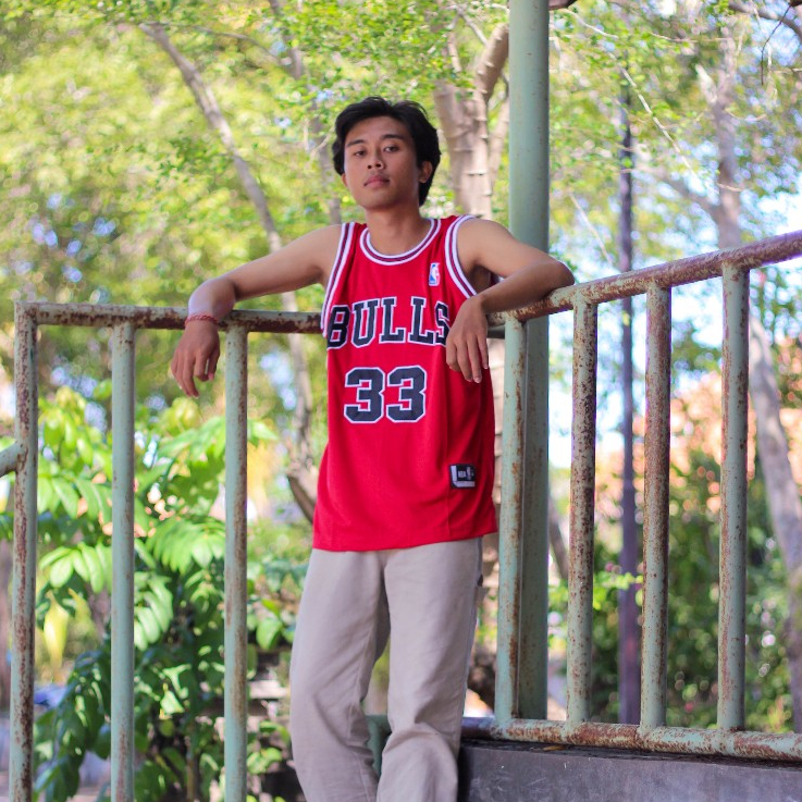 Jersey Basket Bordir Scotie Pippen