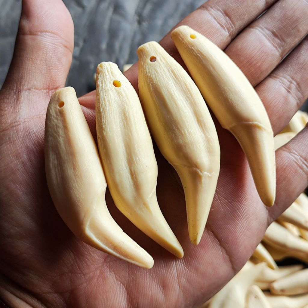 Taring ber uang replika imitasi ( 1 biji )