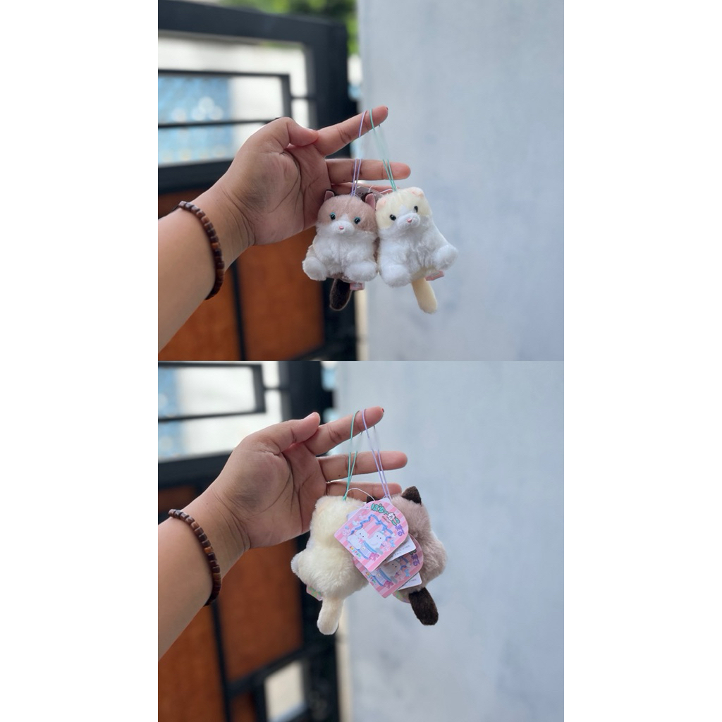 Ganci Kucing Amuse,Ganci Amuse,Amuse Amufun