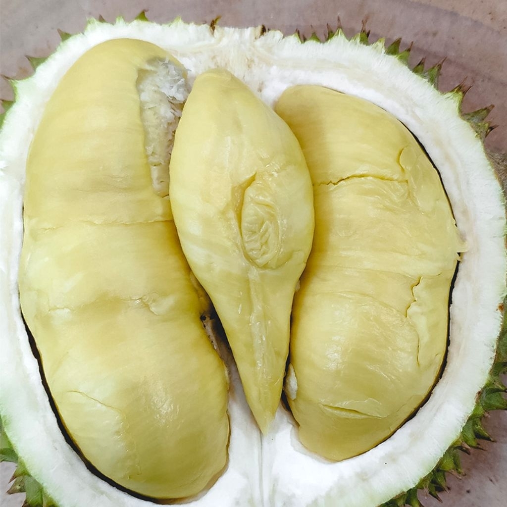 BUAH DURIAN MONTONG LOKAL BULAT UTUH FRESH