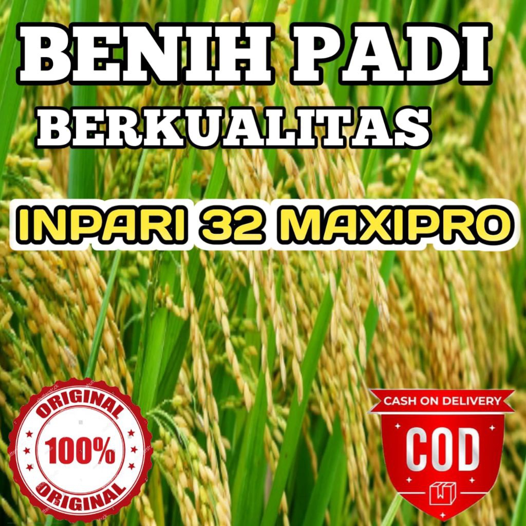 BENIH INPARI 32 MAXIPRO SUPER KEMASAN 1KG