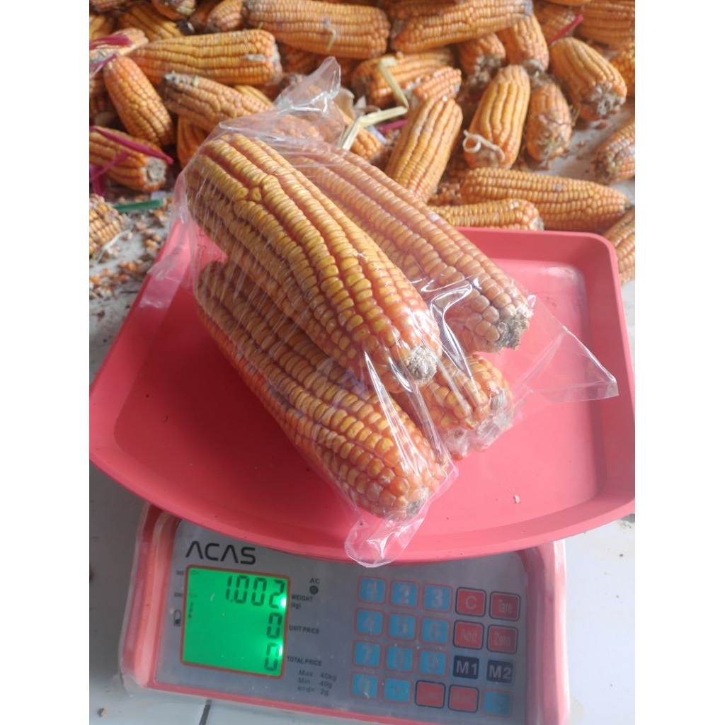 jagung tongkolan isi 1kg