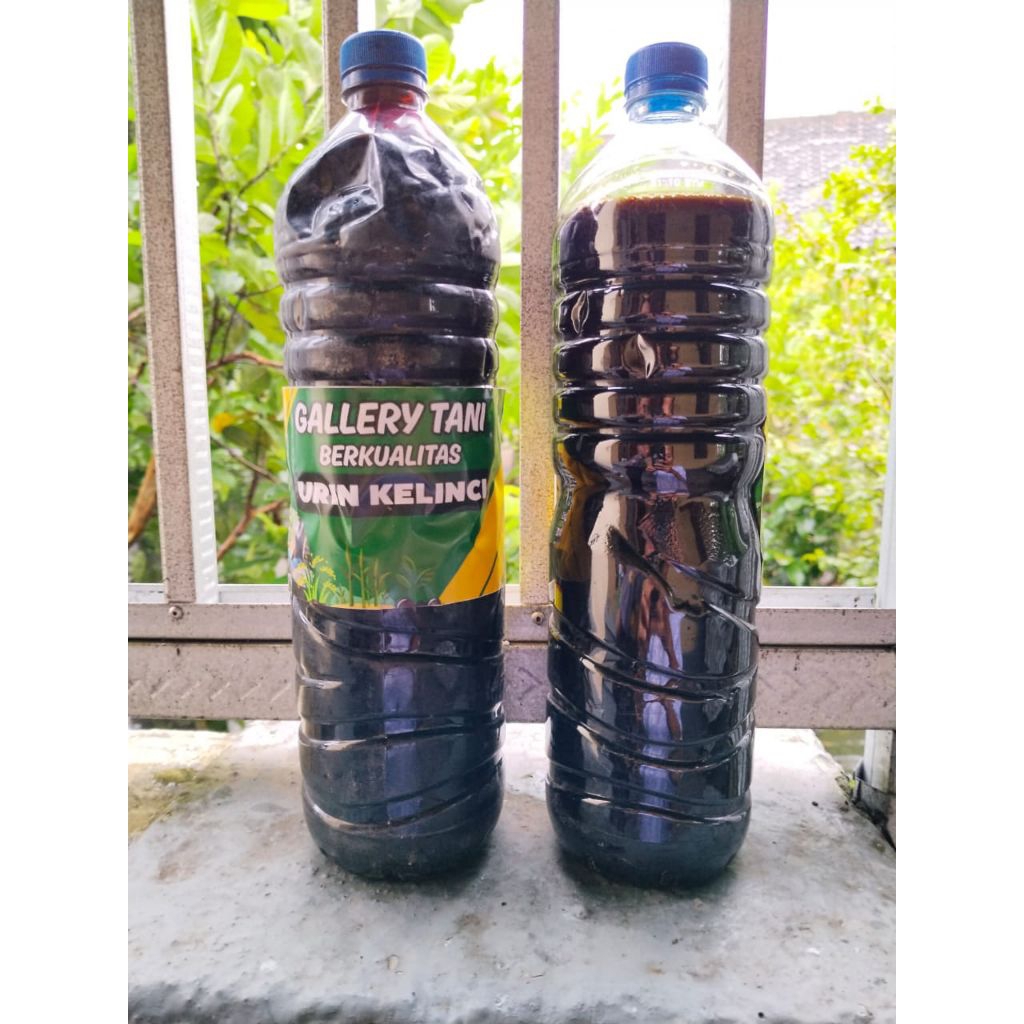 Urine kelinci Murni 1,5ltr