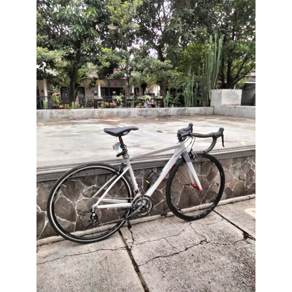 Roadbike Element Curved 2022