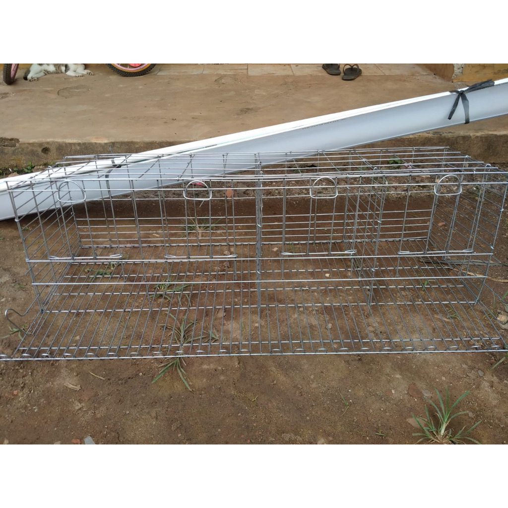 kandang ayam petelur pintu 4 isi 8