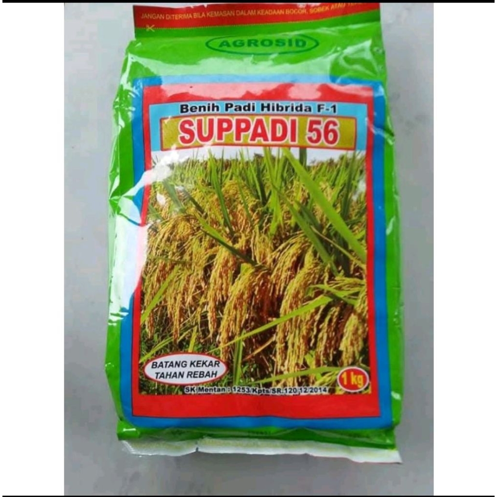 benih padi suppadi 56 original kemasan 1kg