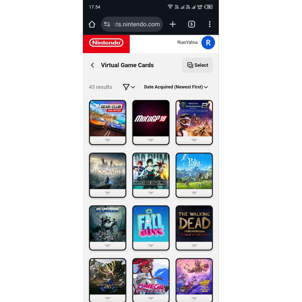 hanya akun nintendo switch baca deskripsi