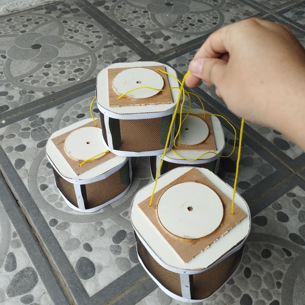 TEMPAT/WADAH JANGKRIK UKURAN KECIL