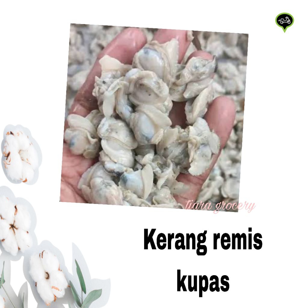 Kerang remis kupas / hijau kupas