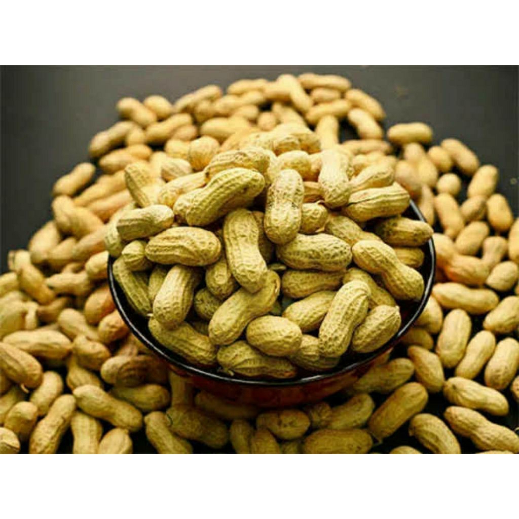 CEMILAN KACANG TANAH KULIT  SANGRAI | KACANG TANAH CEMILAN