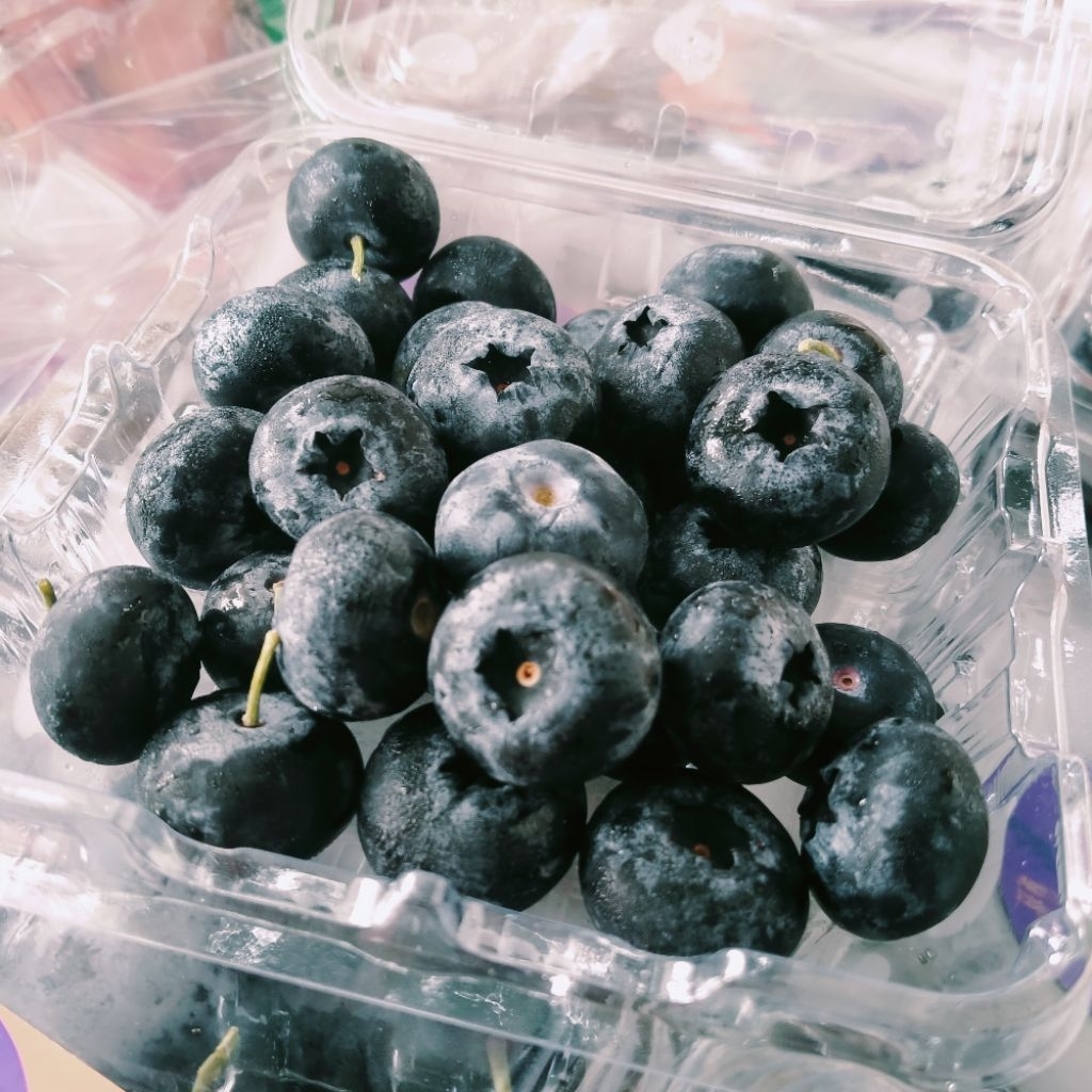 BLUEBERRY FRESH IMPORT
