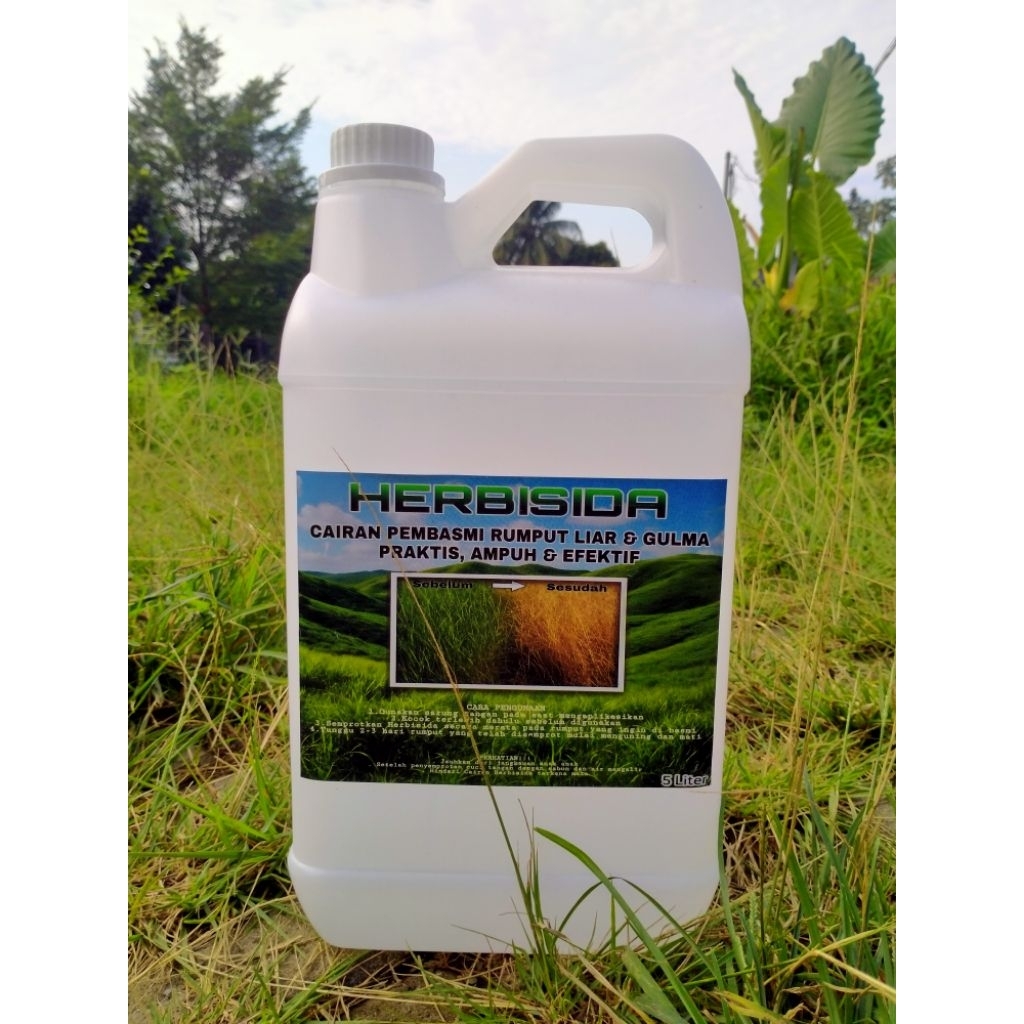 HERBISIDA PEMBASMI RUMPUT LIAR 5 LITER