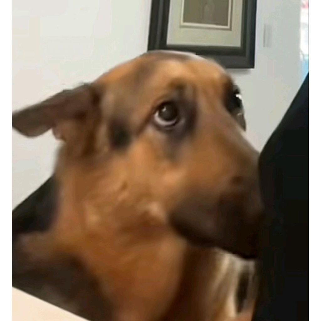 CO tirtir