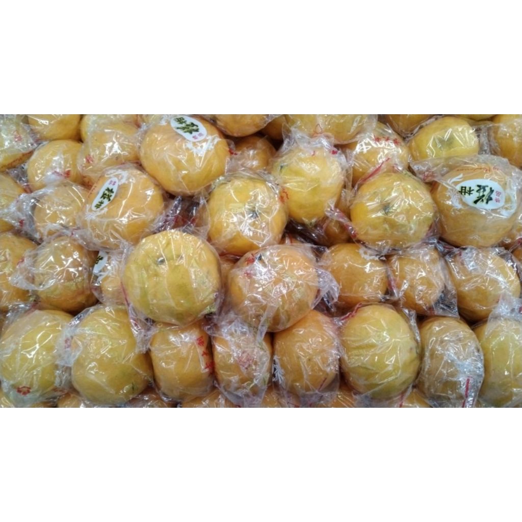 Buah jeruk early ponkam Mandarin jeruk ponkam manis fresh 1 kg