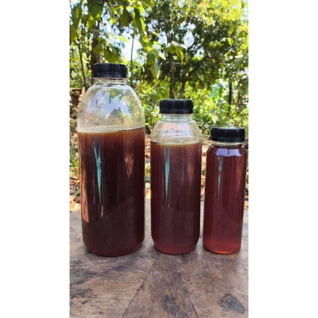 madu odeng asli 100% original odeng asli baduymadu odeng asli 100% tanpa campuranmadu odeng baduymad