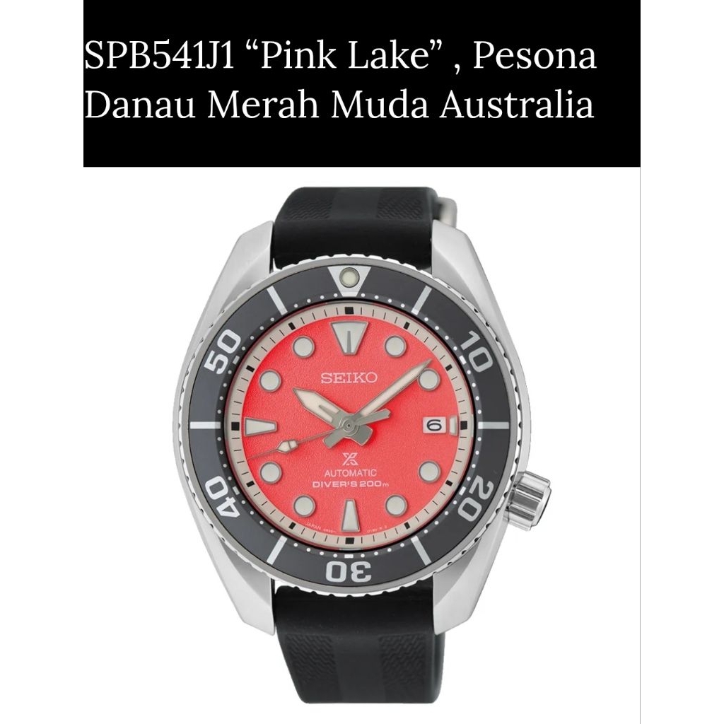 jam tangan pria original SEIKO SPB541J1 AUTOMATIC. SEIKO PROSPEX SUMO ASIA PASIFIC LIMITED EDITION