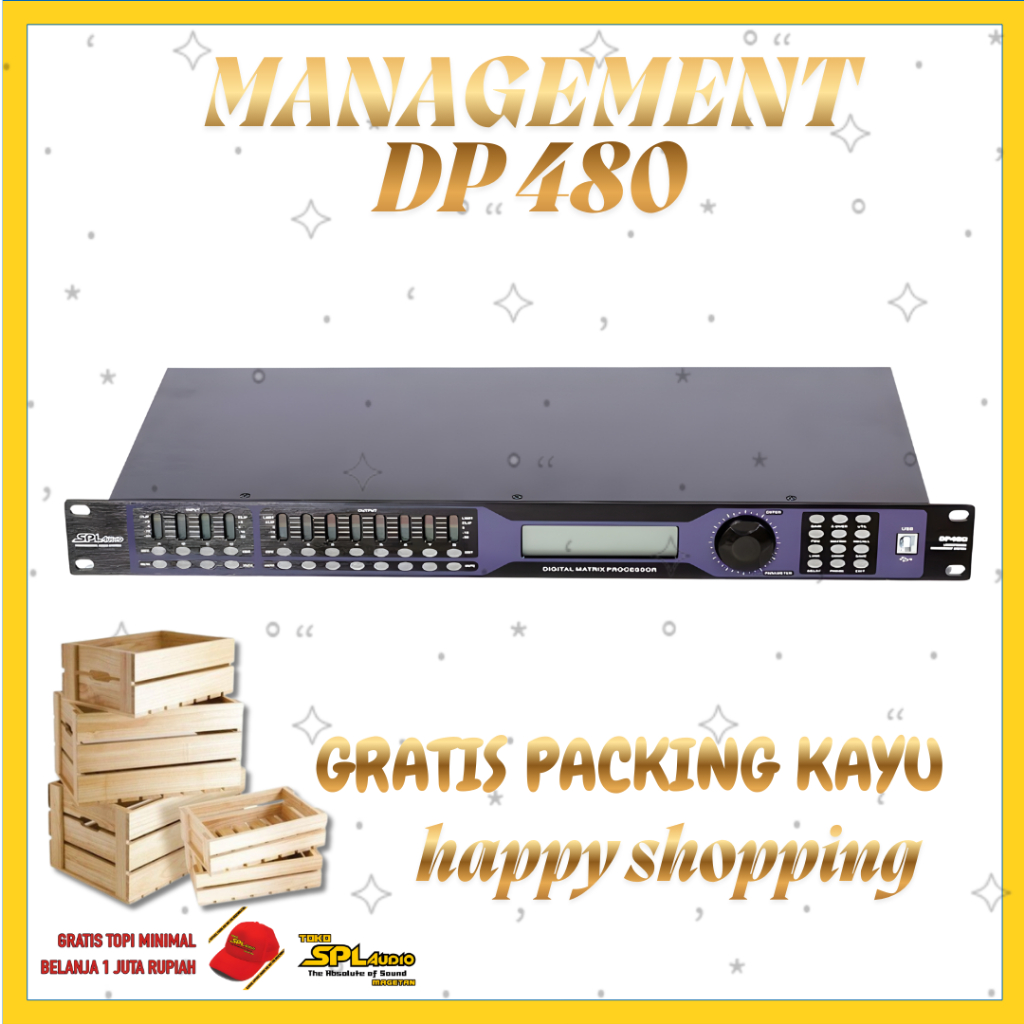 SPL Audio Speaker Management DP 480