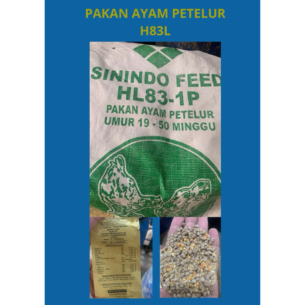 pakan ayam petelur jadi HL83