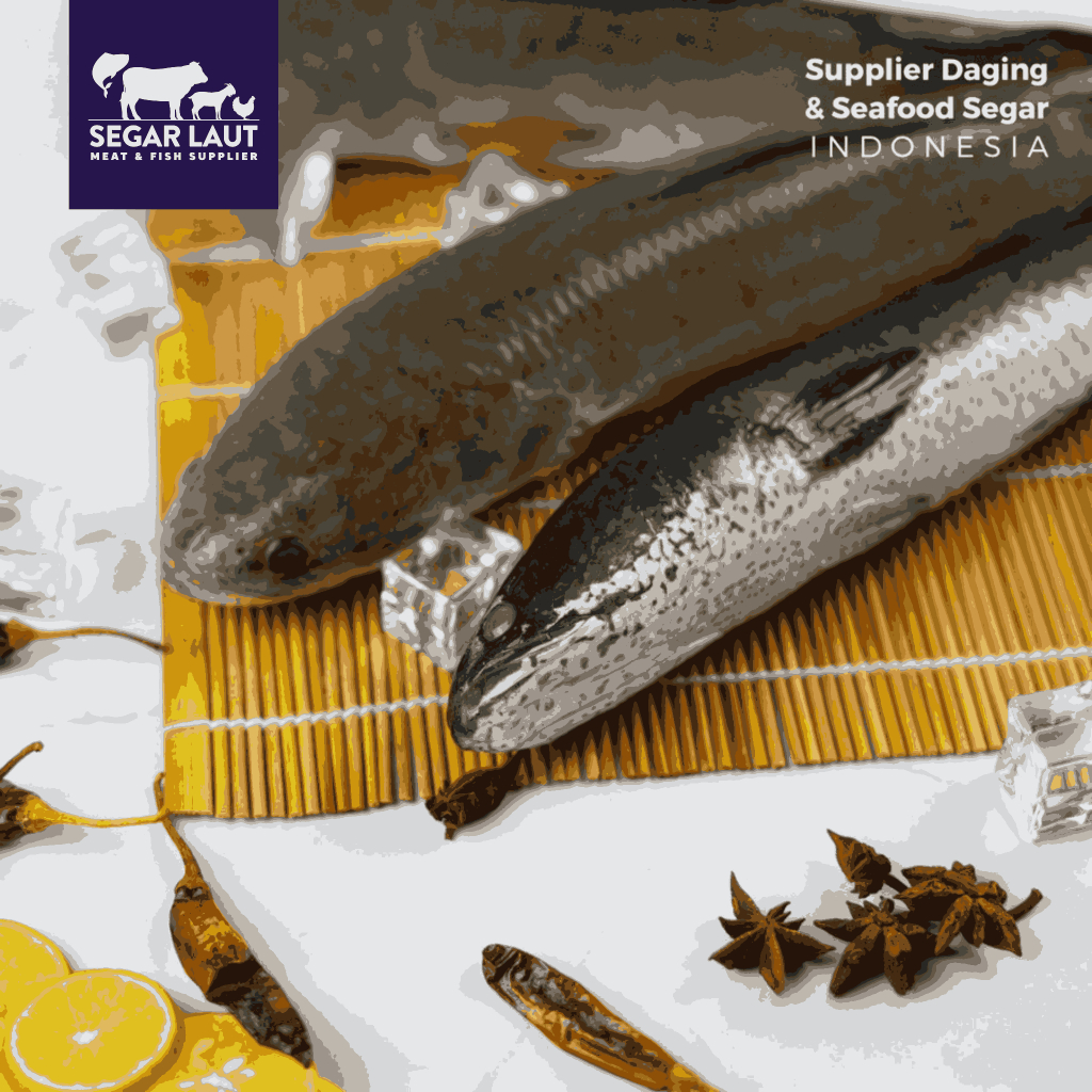 IKAN GABUS | FRESH FROZEN & SEGAR
