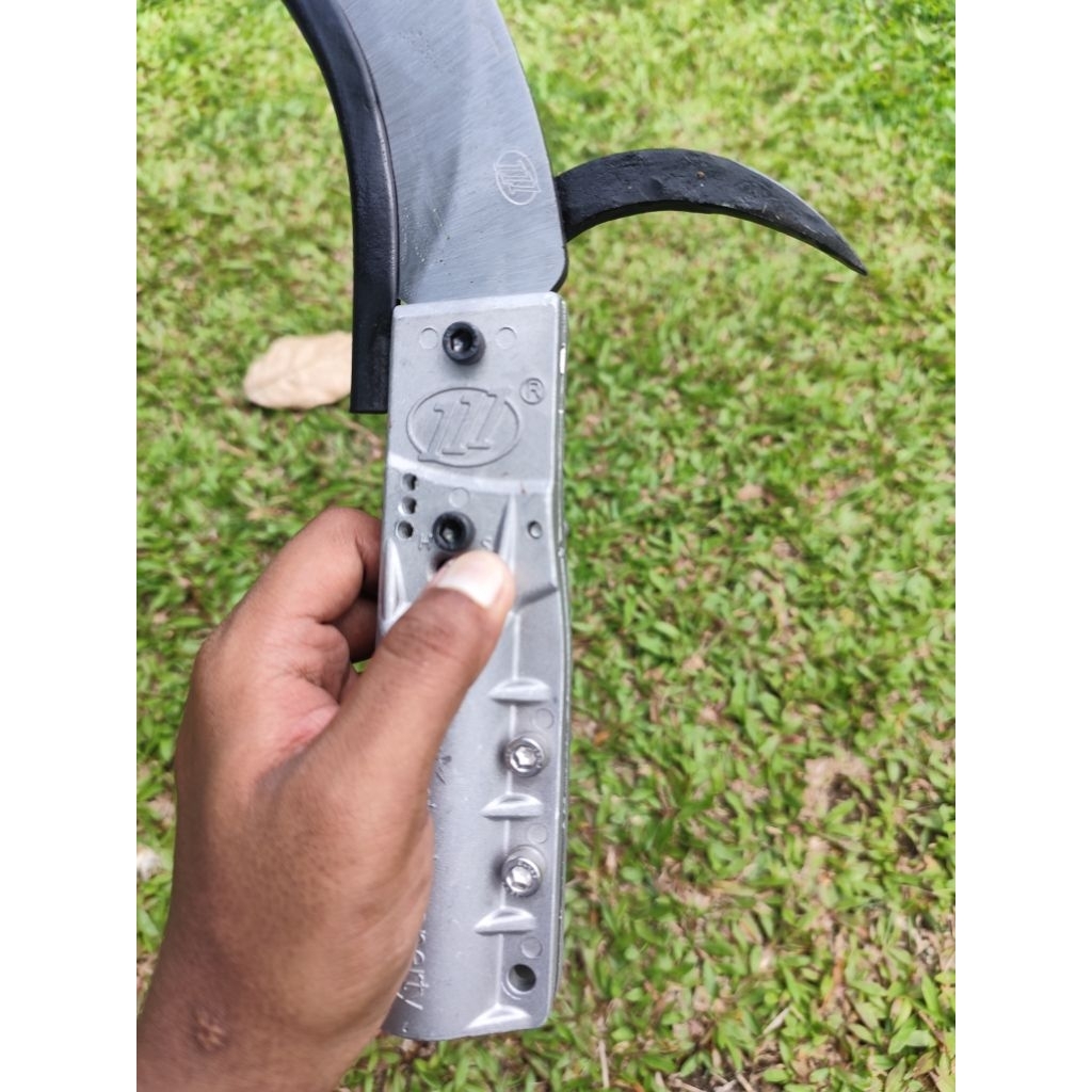 Egrek camel king 111 bonus taji