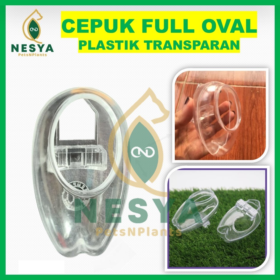 Cepuk Full Oval Wadah Pakan Plastik Transparan Anti Tumpah Sempati Lovebird