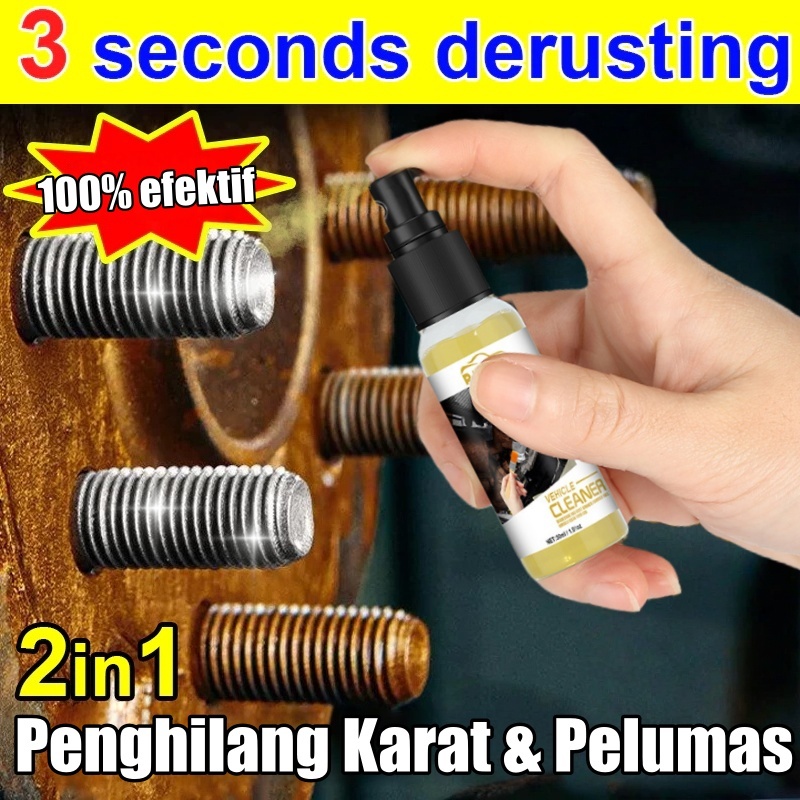 Rayhong Cairan Penghilang Karat Rust Remover Penghilang Karat Motor Dan Besi Cairan Anti Karat Mengh