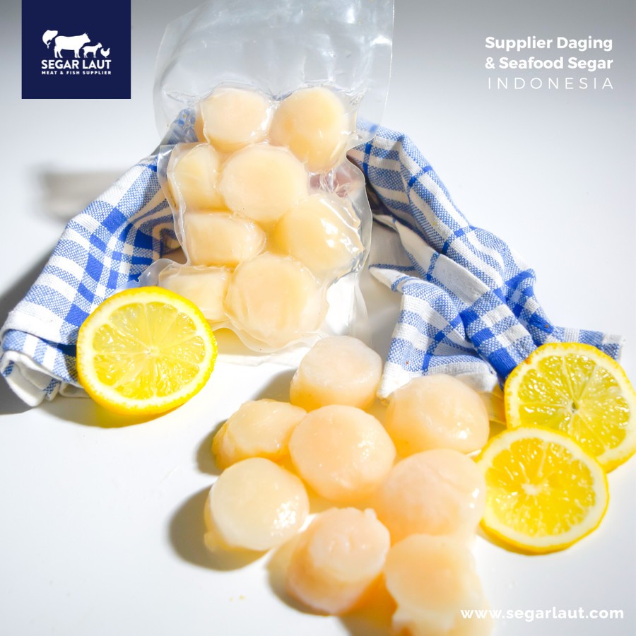 SCALLOP US IMPORT FROZEN | SCALLOP USA | SCALLOP JUMBO