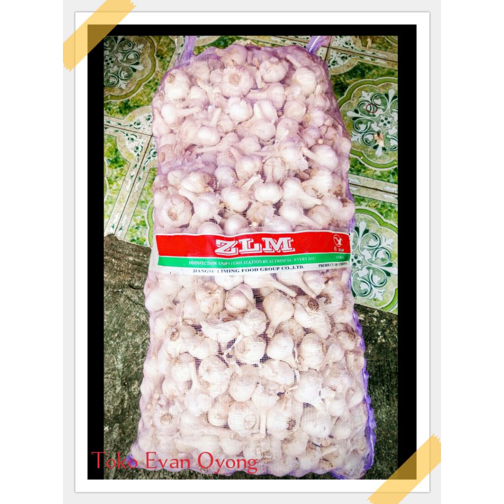 Bawang Putih Kating 1Karung