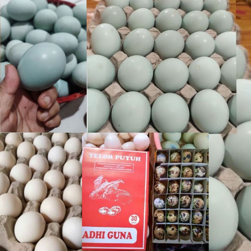 telur puyuh/ayam/asin/mentah/aym kampung