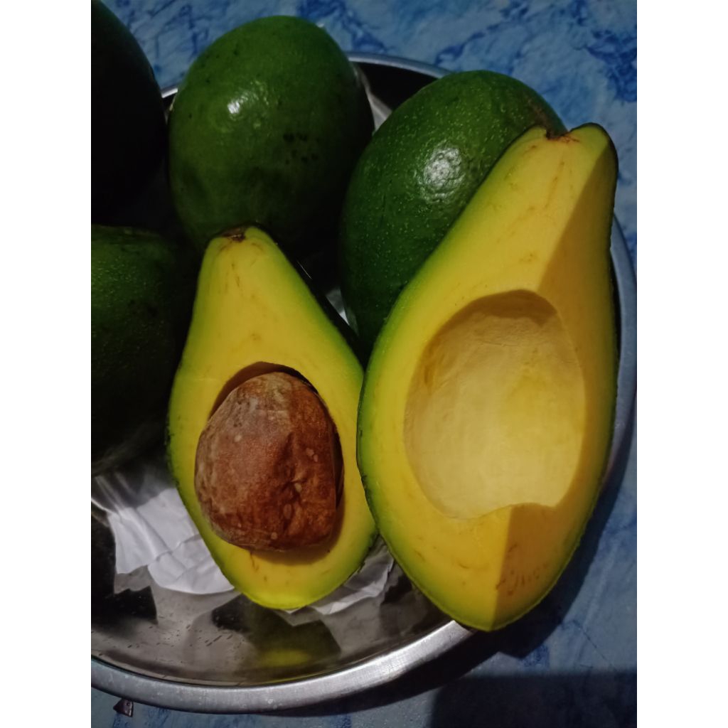 Alpukat lokal Mentega Lampung Timur