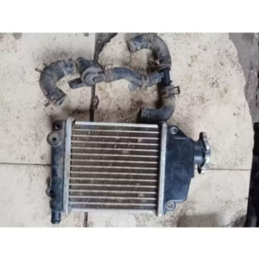 RADIATOR SET TERMOSTAT VARIO 110 KARBU/VARIO TECNO 110 KARBU/COPOTAN ORIGINAL