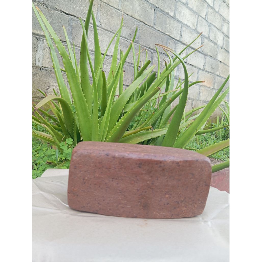 TERASI UDANG PUGER ASLI