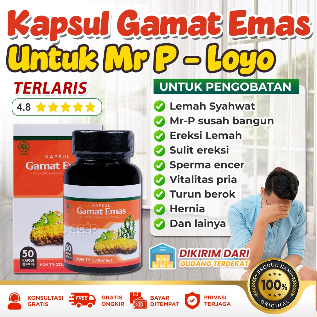 Obat Mr P Loyo Lemah Syahwat Sulit Ereksi Disfungsi Ereksi Sperma Encer Vitalitas Pria Hernia Turun 