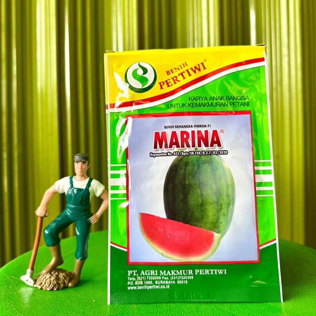 Benih Semangka MARINA F1 20 Gram - Bibit Semangka Hibrida Non Biji Marina Dari Benih Pertiwi