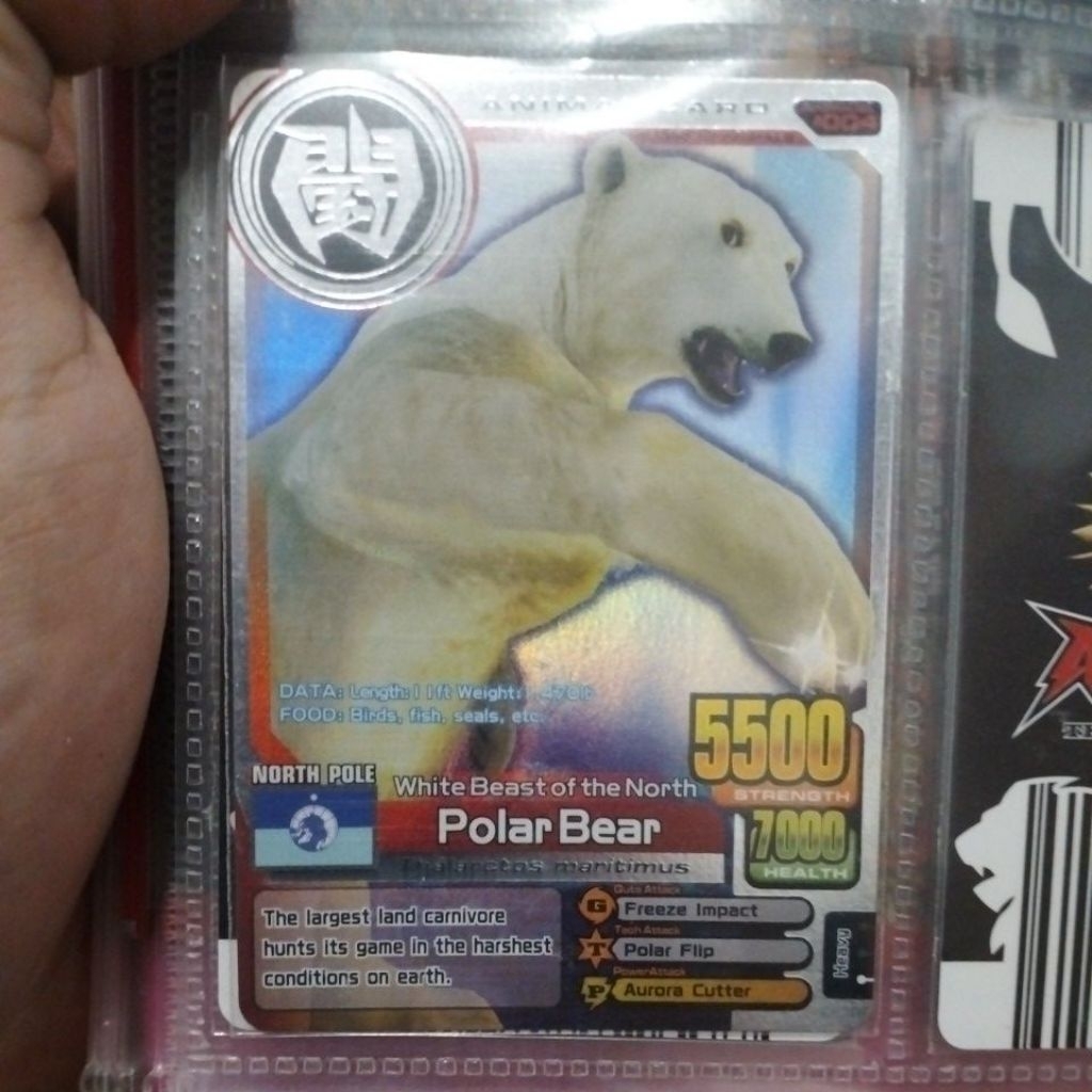 Polar Bear Animal Kaiser Plus Silver
