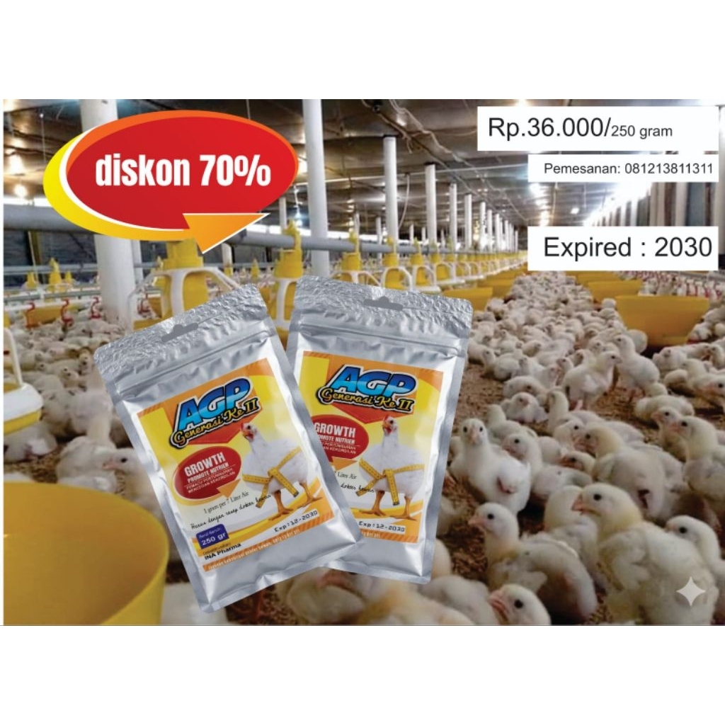 Supelement Broiler Brooding AGP generasi ke 2