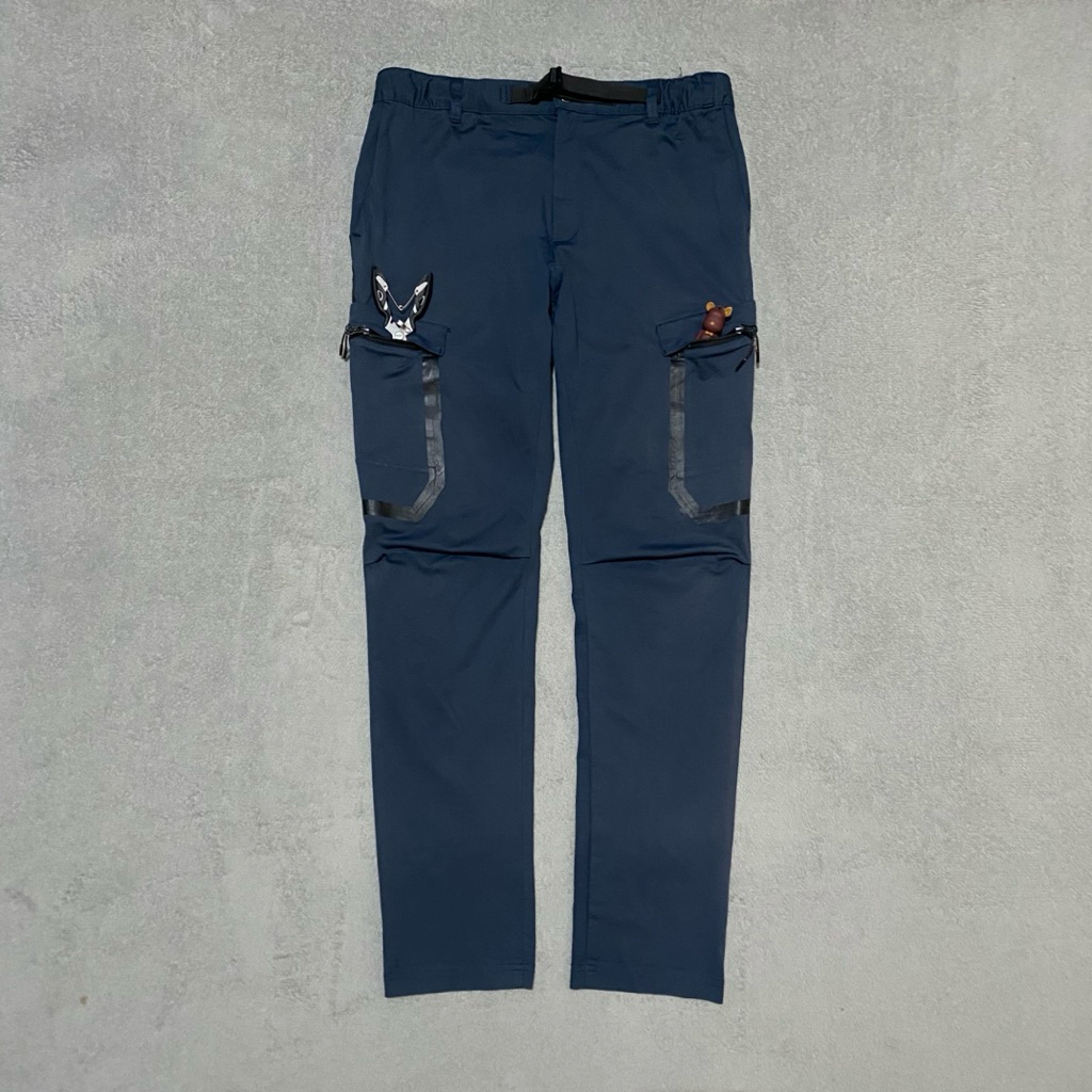 celan cargo fieldcore sofsel