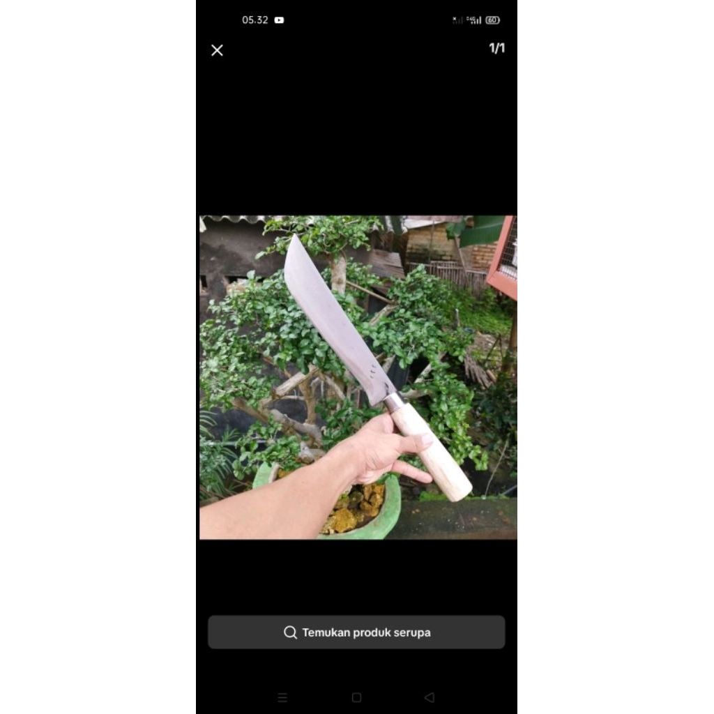 sabit rumput asli produk Madura