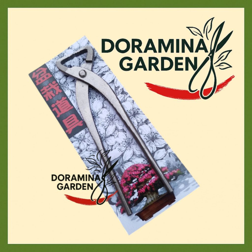 DORAMINA GARDEN - SAKURA PEMECAH BATANG catok bonsai original