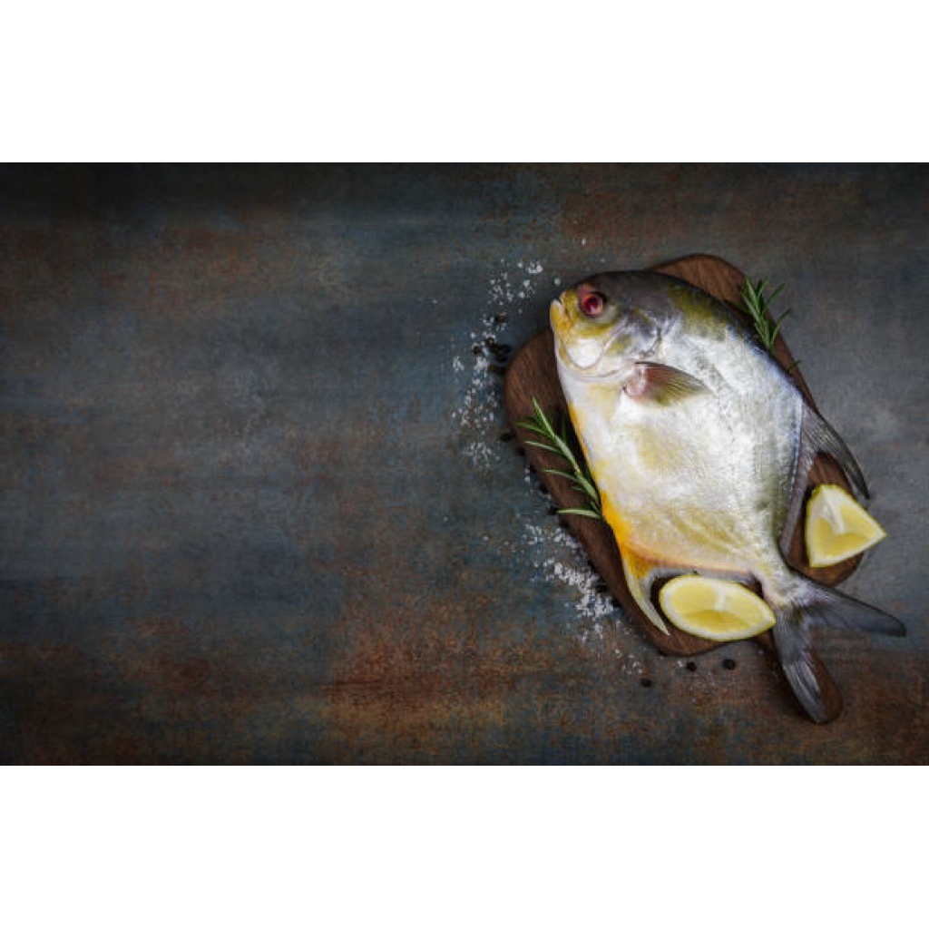 [IKAN SEGAR] Ikan Bawal Potong Hidup 400 - 500g