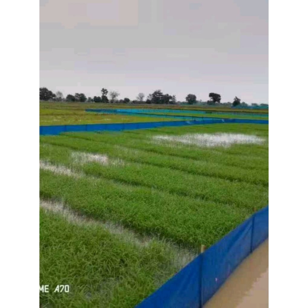 Plastik Fiber Pagar Sawah / Plastik Pagar Tikus 10 kg 60 cm x 90 cm