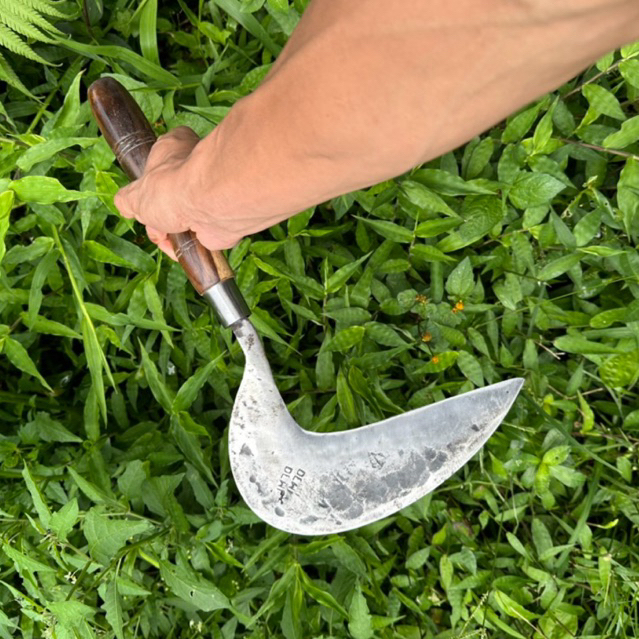 Arit Sabit Cap Dewi Bintang Baja per