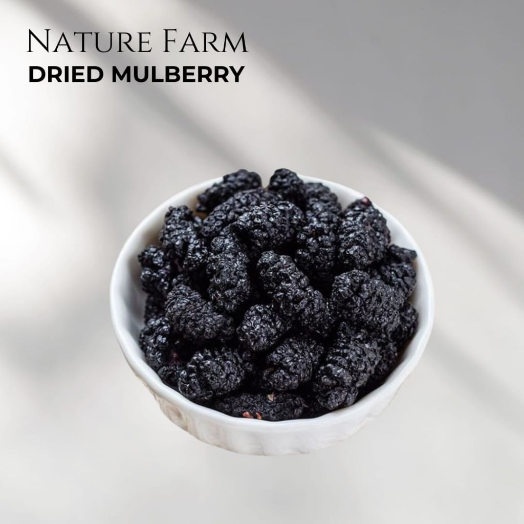 Nature Farm Premium Dried Wild Mulberry Fruit / Teh Buah Mulberi kering - infused water