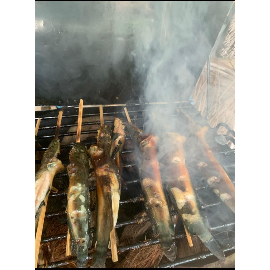 LELE ASAP (SOBAT LELE)