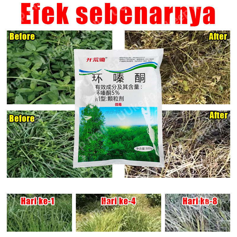 Racun Pohon Besar Ampuh Racun Rumput Racun Bambu Paling Ampuh Original Tree Killer Pembasmi Rumput