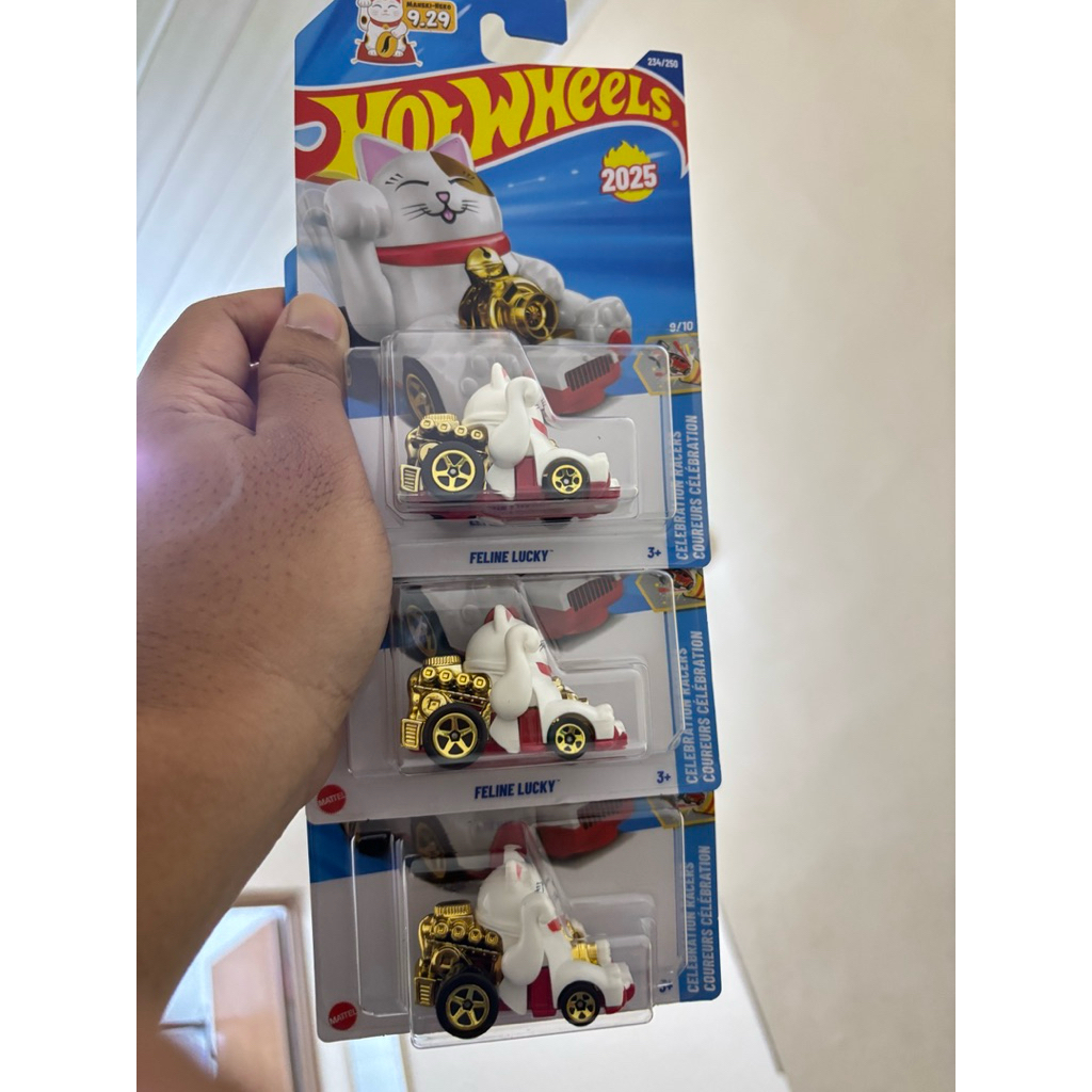 Hotwheels Feline Lucky