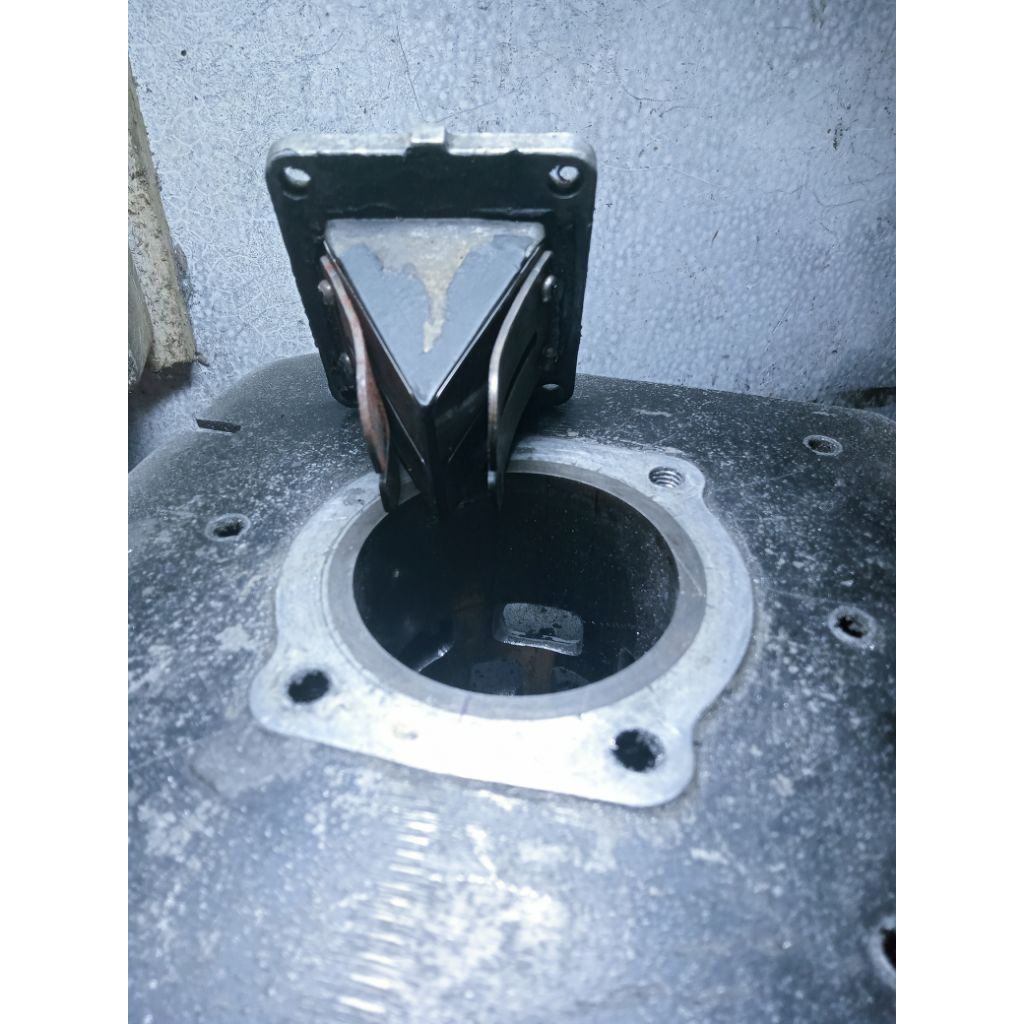 Membran rx king original