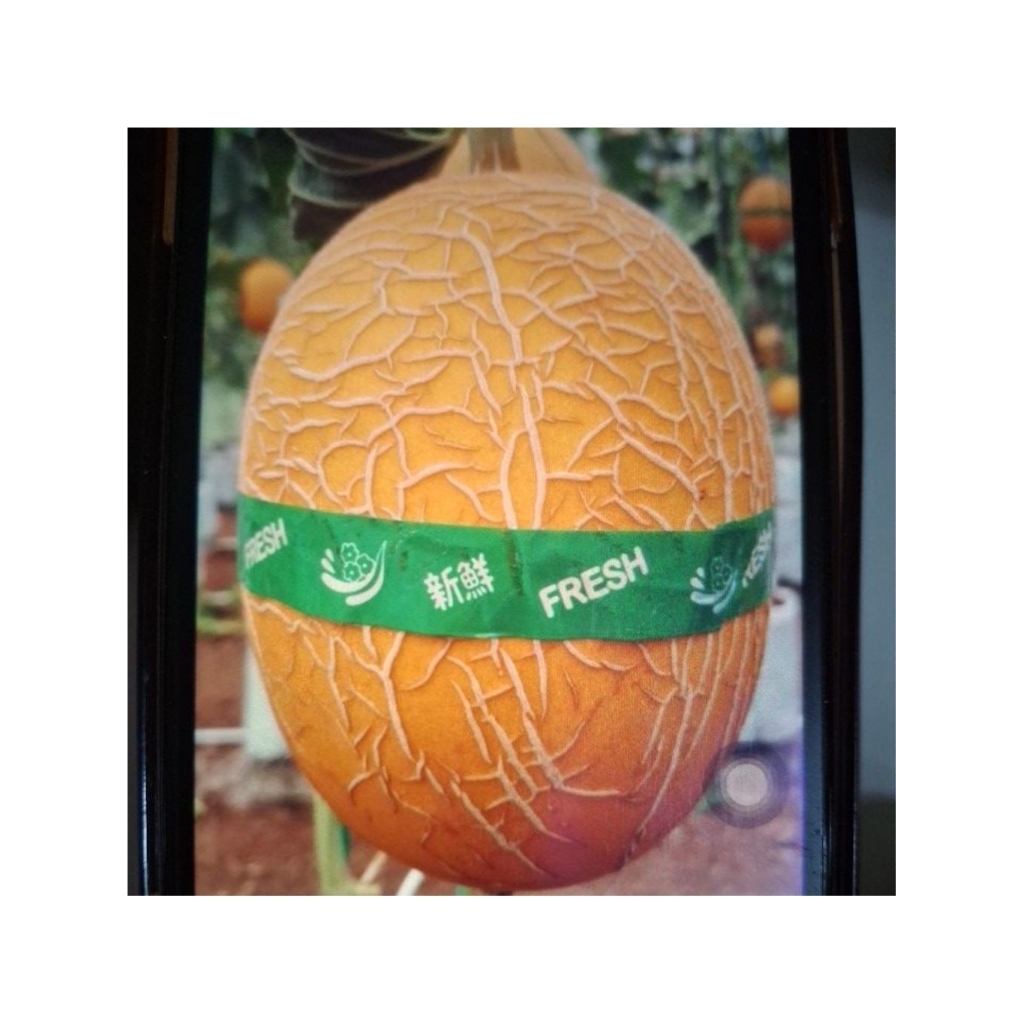 Melon Sweet Lavender Premium